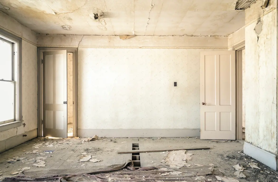 Waste disposal crew managing a cleanout project in Shirley